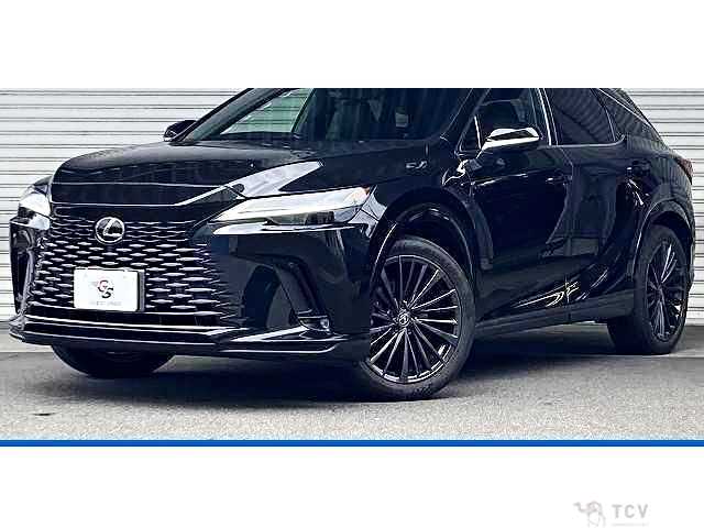 2023 Lexus RX