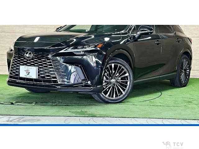 2023 Lexus RX