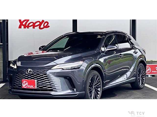 2023 Lexus RX