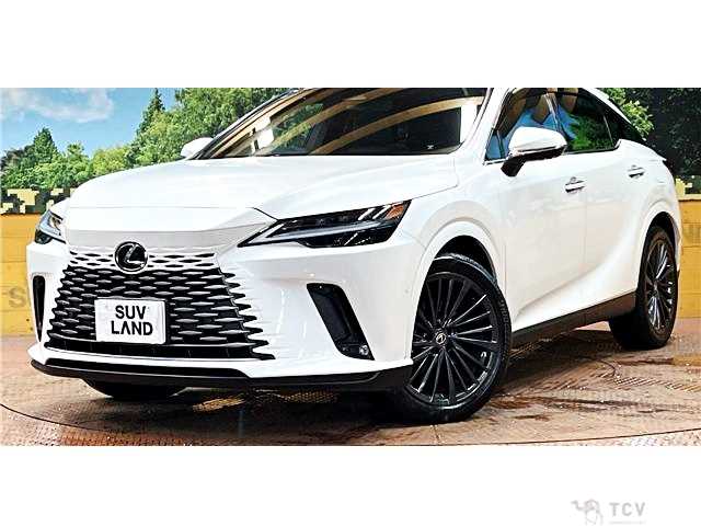 2023 Lexus RX