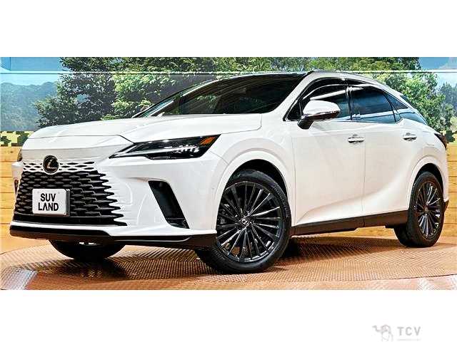 2023 Lexus RX