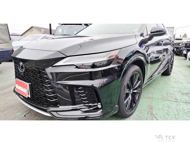 2023 Lexus RX