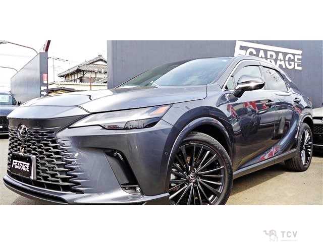 2023 Lexus RX