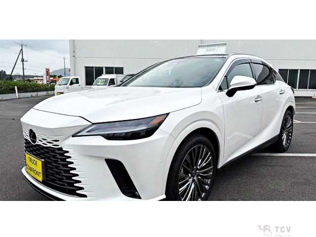 2023 Lexus RX