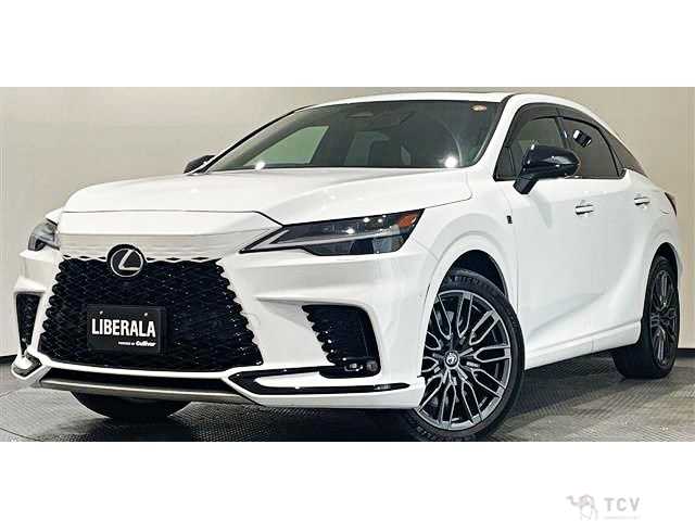 2023 Lexus RX