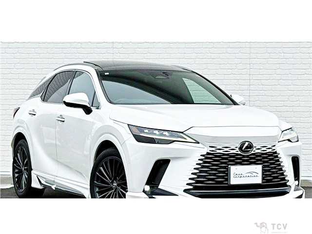 2023 Lexus RX