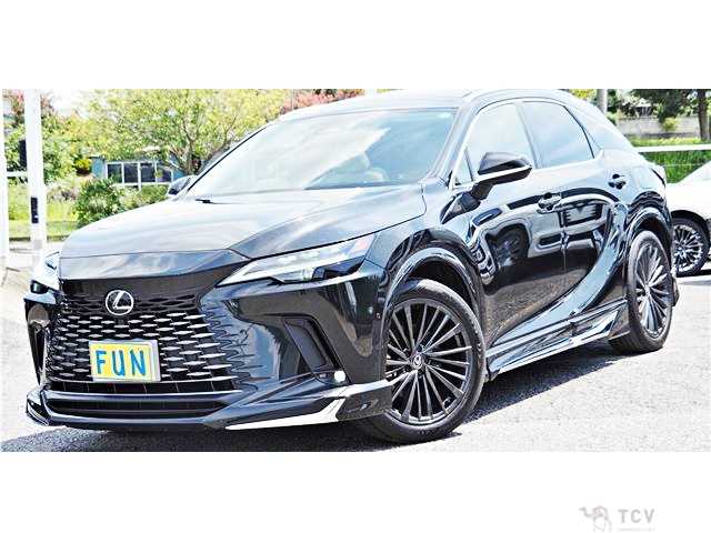 2023 Lexus RX