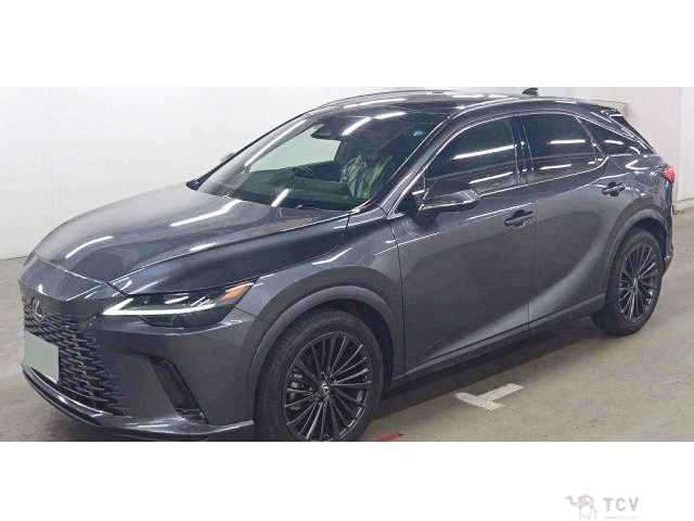 2024 Lexus RX