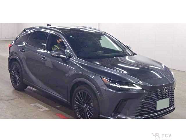 2024 Lexus RX