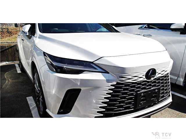 2024 Lexus RX