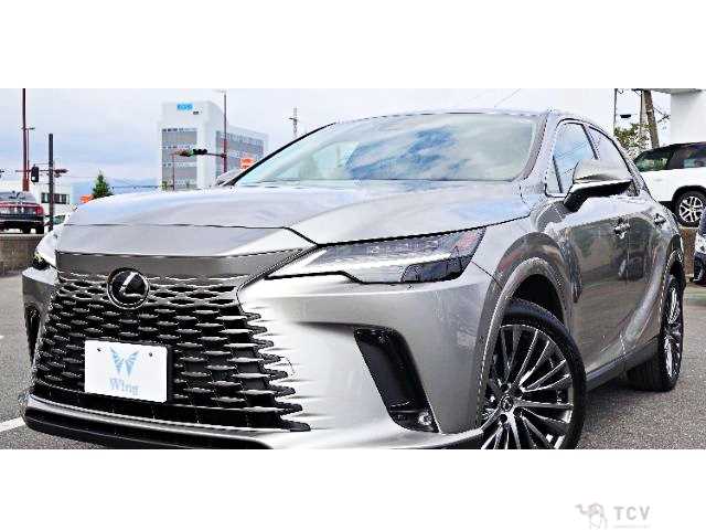2024 Lexus RX