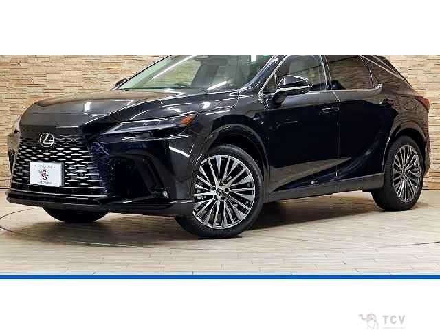 2024 Lexus RX