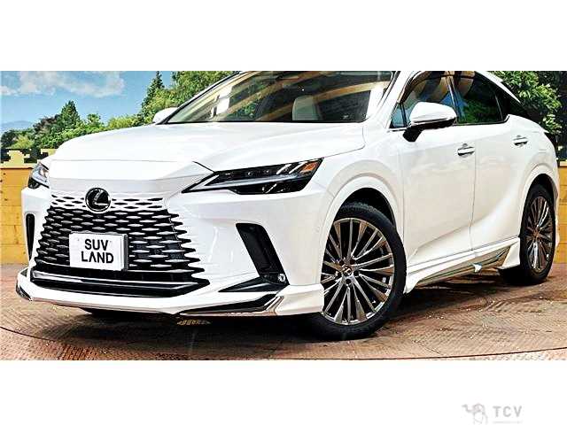 2024 Lexus RX