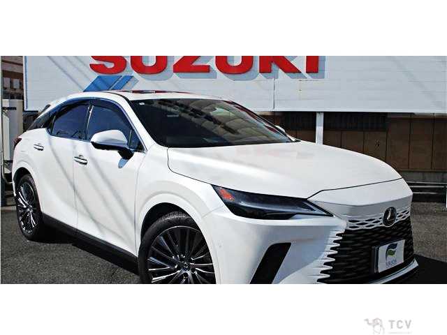 2024 Lexus RX