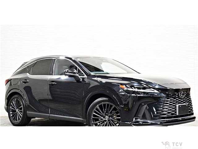 2024 Lexus RX