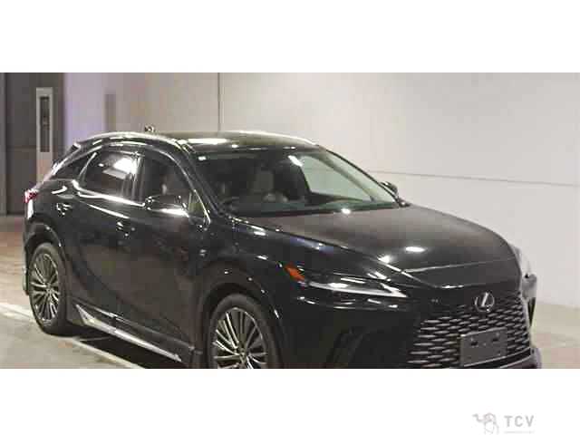 2024 Lexus RX