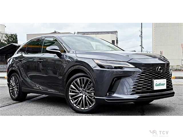 2024 Lexus RX
