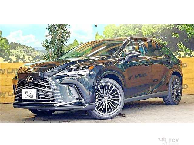 2024 Lexus RX