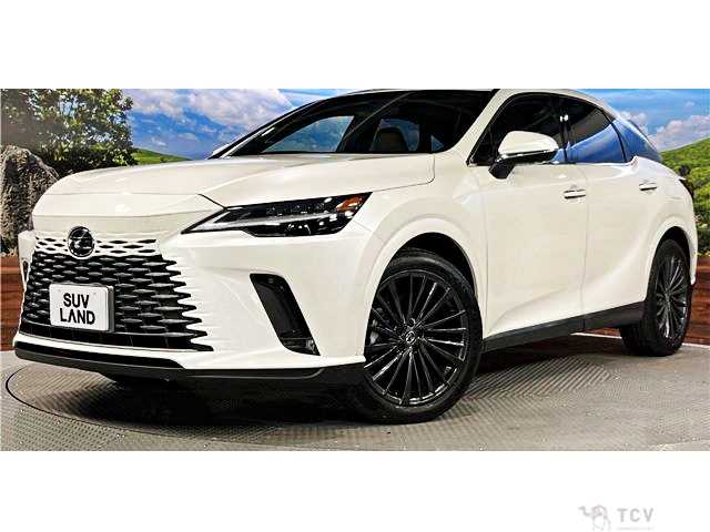 2024 Lexus RX