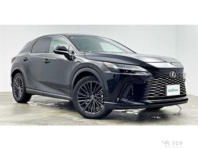 2024 Lexus RX