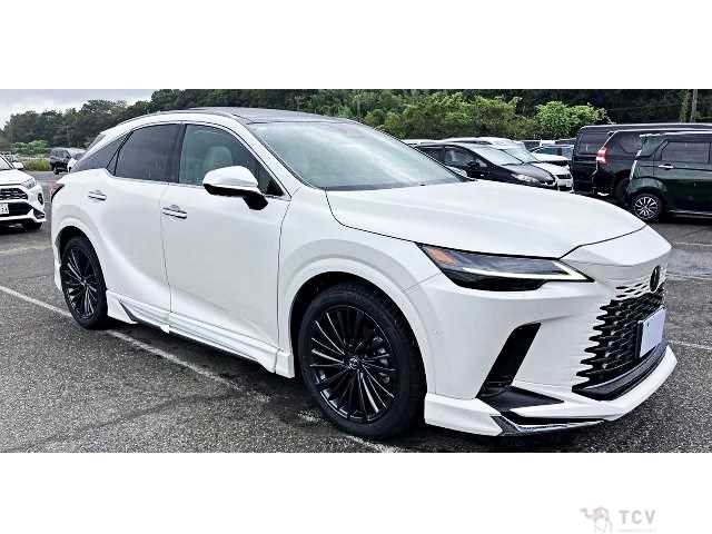 2024 Lexus RX