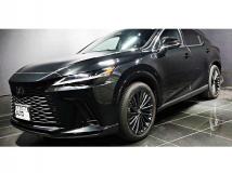 2024 Lexus RX