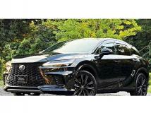 2024 Lexus RX