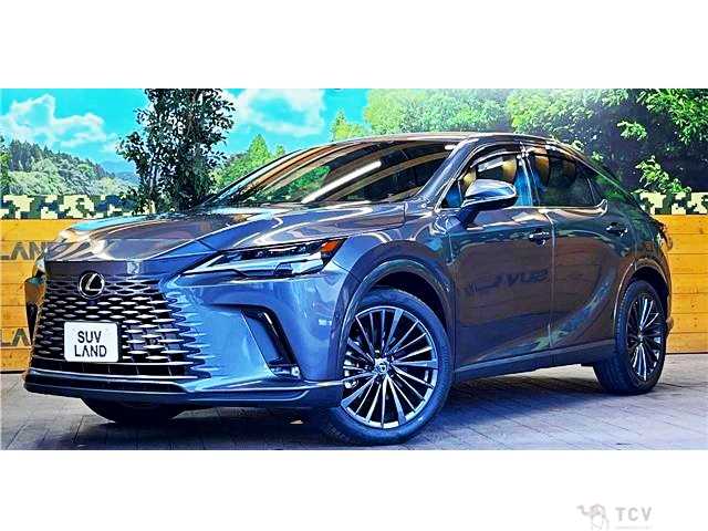 2024 Lexus RX