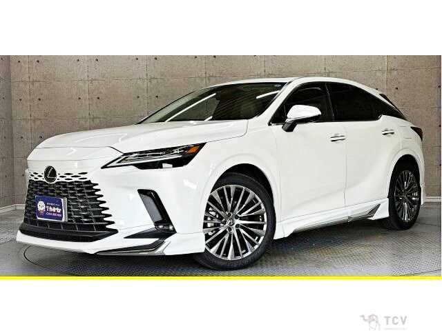 2024 Lexus RX