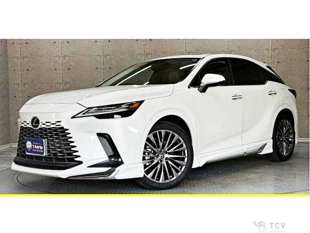 2024 Lexus RX