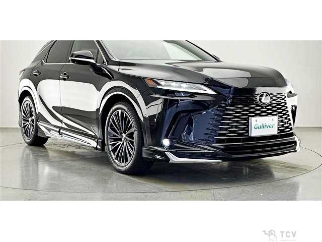 2024 Lexus RX