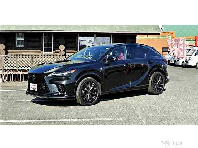 2024 Lexus RX