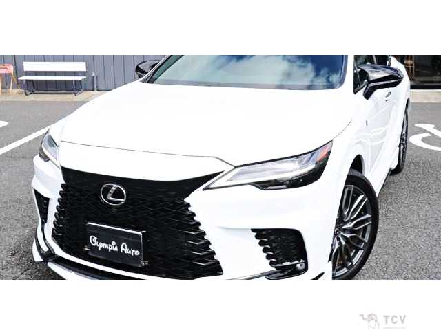 2024 Lexus RX