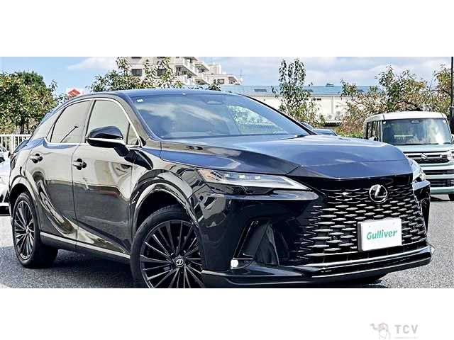 2025 Lexus RX