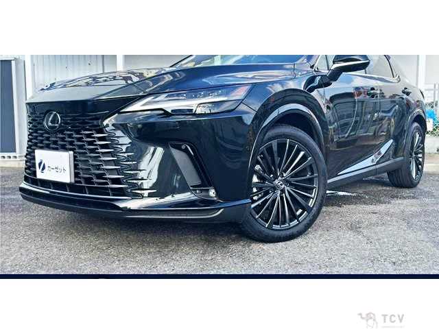 2025 Lexus RX