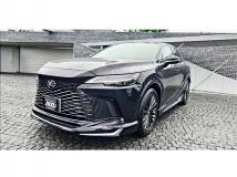 2025 Lexus RX