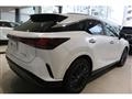 2025 Lexus RX