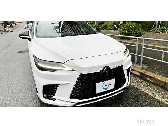 2025 Lexus RX