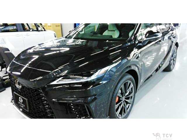 2025 Lexus RX