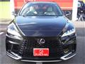 2025 Lexus RX