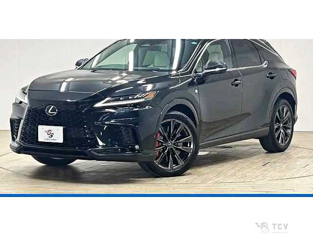 2025 Lexus RX