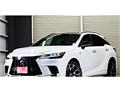 2025 Lexus RX