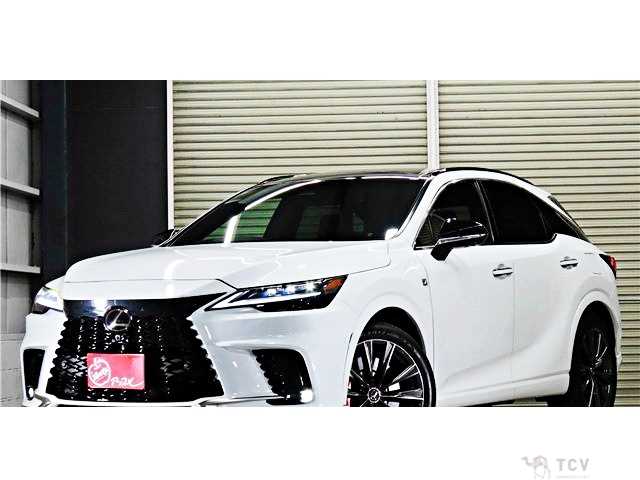 2025 Lexus RX