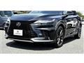 2025 Lexus RX