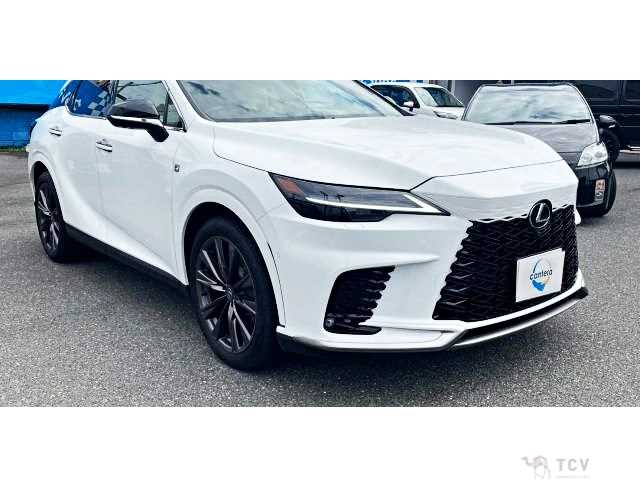 2025 Lexus RX
