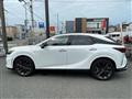 2025 Lexus RX