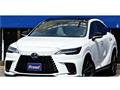 2025 Lexus RX