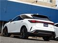 2025 Lexus RX