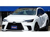 2025 Lexus RX