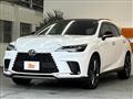 2025 Lexus RX